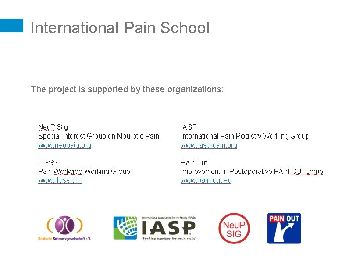 International Pain School The project is supported by these organizations: 