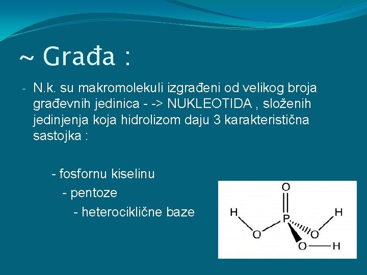 ~ Građa : - N. k. su makromolekuli izgrađeni od velikog broja građevnih jedinica