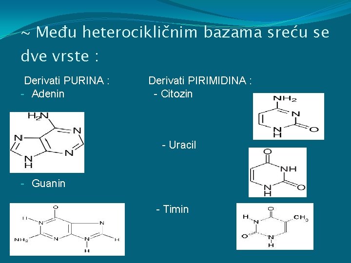 ~ Među heterocikličnim bazama sreću se dve vrste : Derivati PURINA : - Adenin
