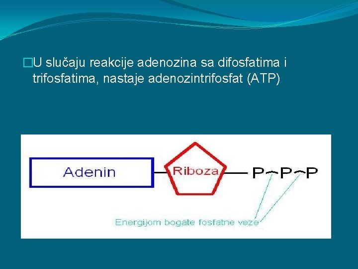 �U slučaju reakcije adenozina sa difosfatima i trifosfatima, nastaje adenozintrifosfat (ATP) 