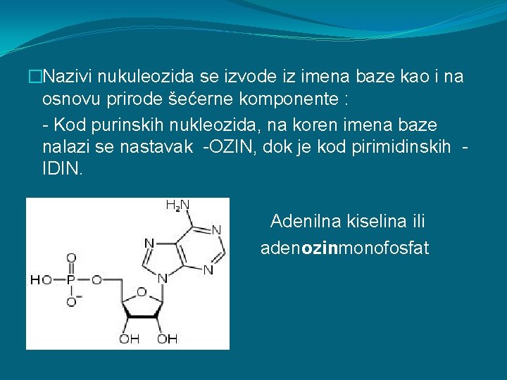 �Nazivi nukuleozida se izvode iz imena baze kao i na osnovu prirode šećerne komponente