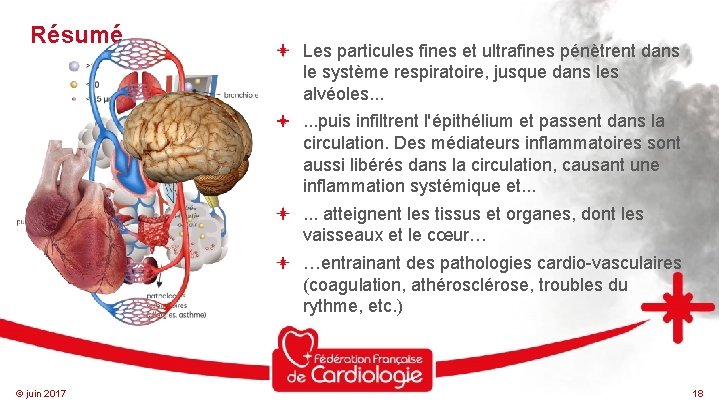 Résumé Les particules fines et ultrafines pénètrent dans le système respiratoire, jusque dans les