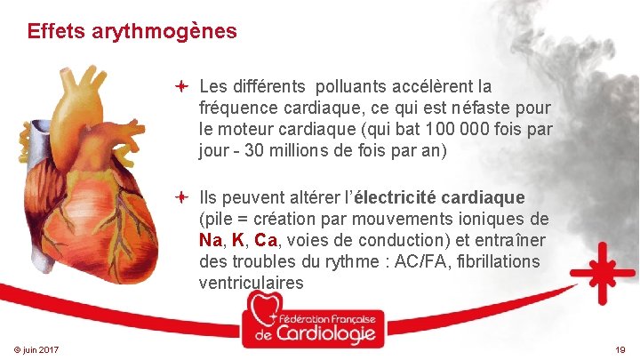 Effets arythmogènes Les différents polluants accélèrent la fréquence cardiaque, ce qui est néfaste pour