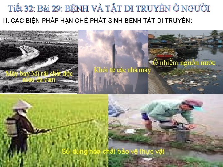 Tiết 32: Bài 29: BỆNH VÀ TẬT DI TRUYỀN Ở NGƯỜI III. CÁC BIỆN