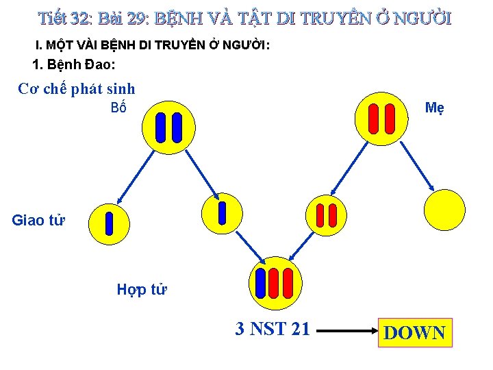 Tiết 32: Bài 29: BỆNH VÀ TẬT DI TRUYỀN Ở NGƯỜI I. MỘT VÀI