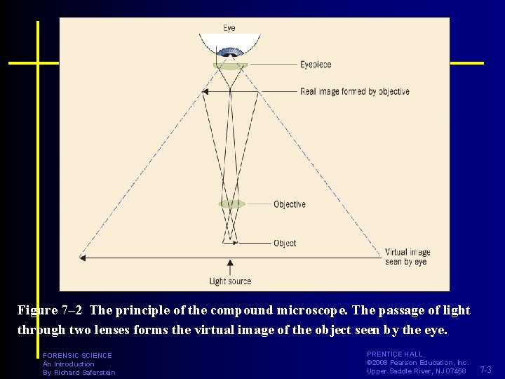 Figure 7– 2 The principle of the compound microscope. The passage of light through