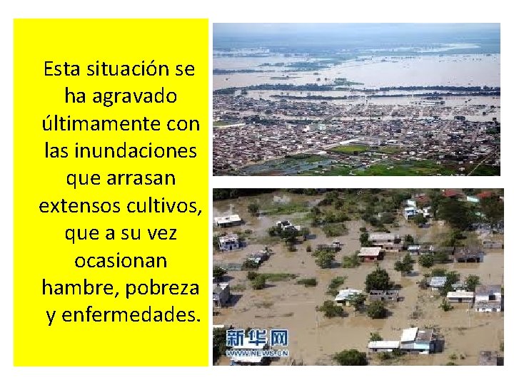 Esta situación se ha agravado últimamente con las inundaciones que arrasan extensos cultivos, Esta situación se ha agravado últimamente con las inundaciones que arrasan extensos cultivos,