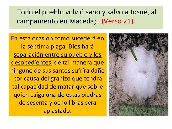 Todo el pueblo volvió sano y salvo a Josué, al campamento en Maceda; Todo el pueblo volvió sano y salvo a Josué, al campamento en Maceda;