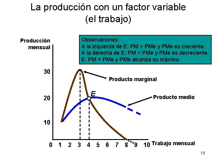 La producción con un factor variable (el trabajo) Observaciones: A la izquierda de E: