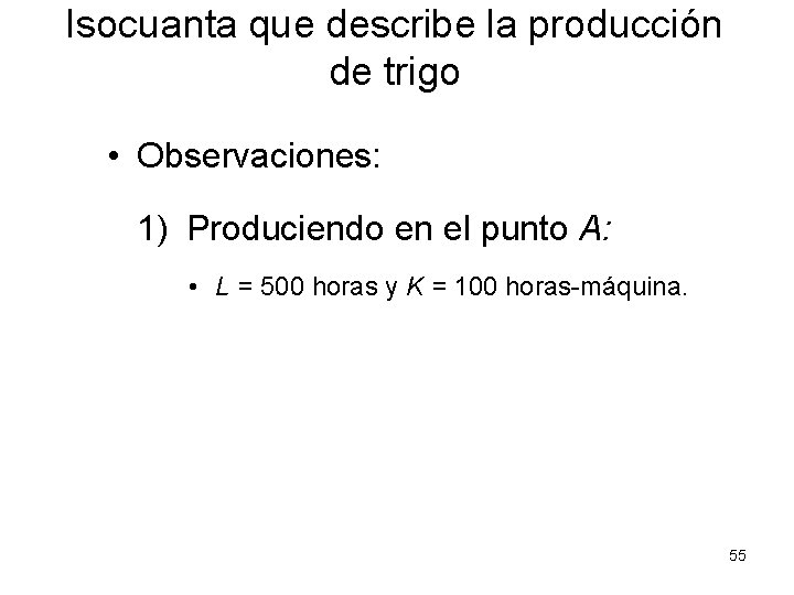 Isocuanta que describe la producción de trigo • Observaciones: 1) Produciendo en el punto