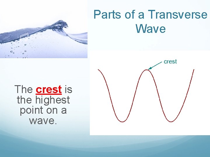 Parts of a Transverse Wave The crest is the highest point on a wave.