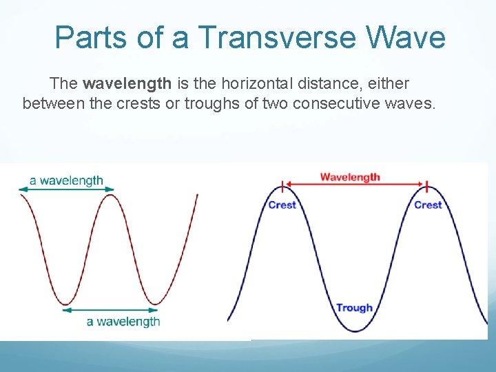 Parts of a Transverse Wave The wavelength is the horizontal distance, either between the