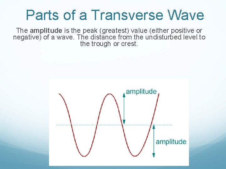 Parts of a Transverse Wave The amplitude is the peak (greatest) value (either positive