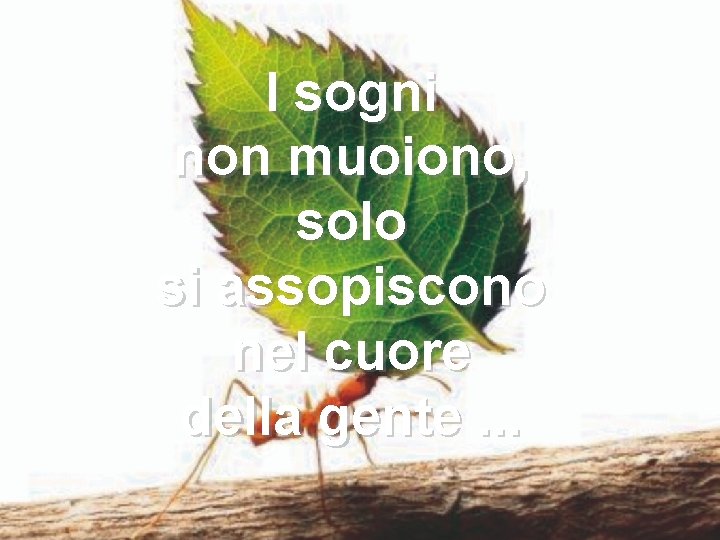 I sogni non muoiono, solo si assopiscono nel cuore della gente. . . 