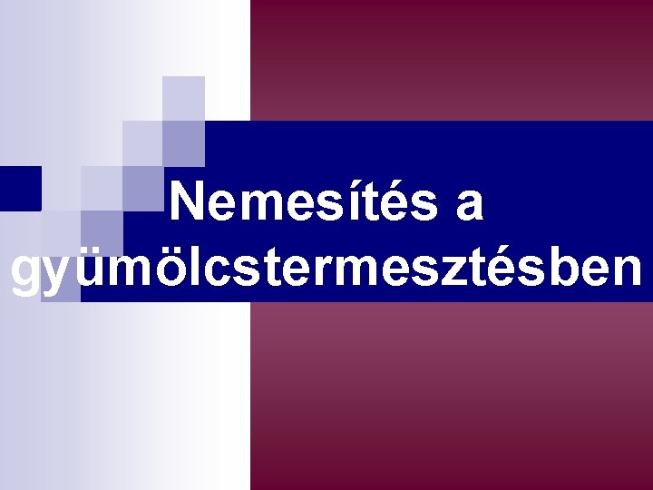 Nemesítés a gyümölcstermesztésben 