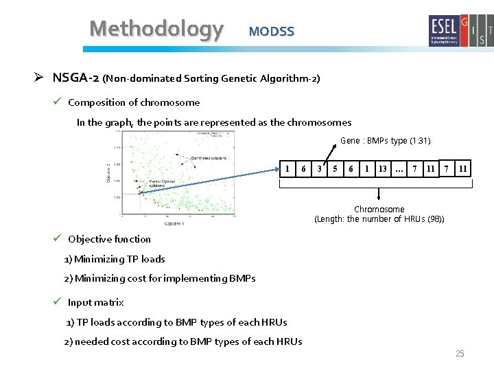 Methodology MODSS Ø NSGA-2 (Non-dominated Sorting Genetic Algorithm-2) ü Composition of chromosome In the