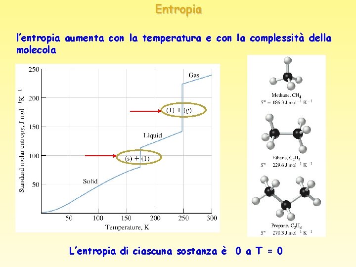 Entropia l’entropia aumenta con la temperatura e con la complessità della molecola L’entropia di