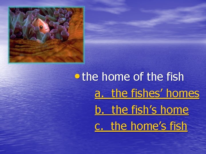  • the home of the fish a. b. c. the fishes’ homes the