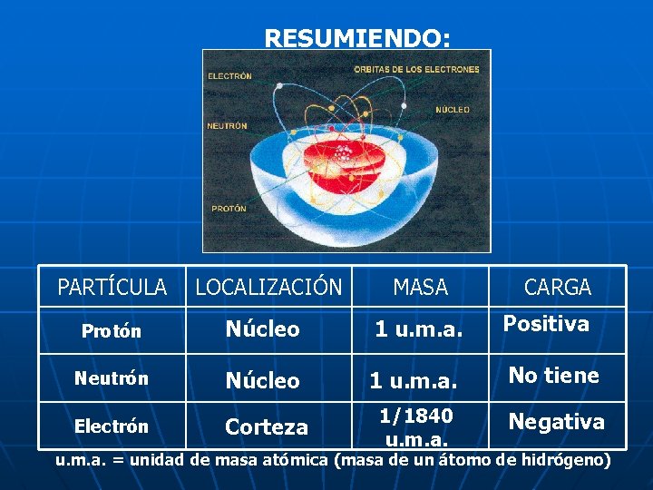 RESUMIENDO: PARTÍCULA LOCALIZACIÓN MASA CARGA Protón Núcleo 1 u. m. a. Positiva Neutrón Núcleo