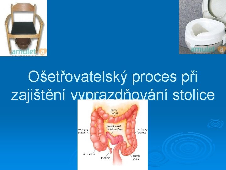 Ošetřovatelský proces při zajištění vyprazdňování stolice 