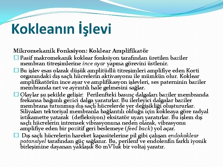 Kokleanın İşlevi Mikromekanik Fonksiyon: Koklear Amplifikatör � Pasif makromekanik koklear fonksiyon tarafından üretilen baziler