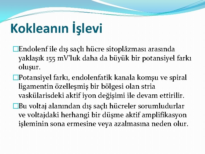 Kokleanın İşlevi �Endolenf ile dış saçlı hücre sitoplâzması arasında yaklaşık 155 m. V’luk daha