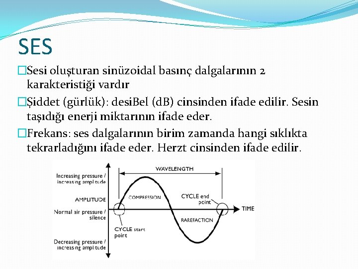 SES �Sesi oluşturan sinüzoidal basınç dalgalarının 2 karakteristiği vardır �Şiddet (gürlük): desi. Bel (d.