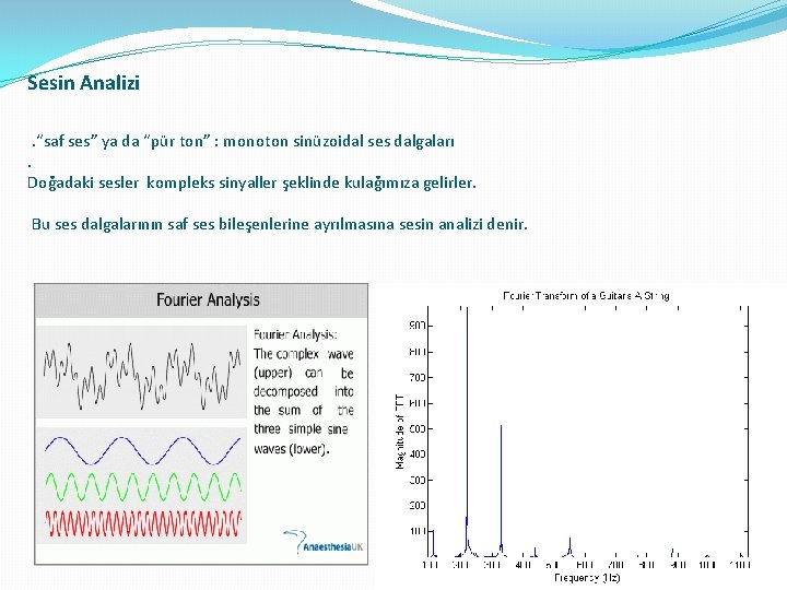 Sesin Analizi. “saf ses” ya da “pür ton” : monoton sinüzoidal ses dalgaları. Doğadaki