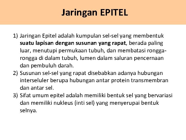 Jaringan EPITEL 1) Jaringan Epitel adalah kumpulan sel-sel yang membentuk suatu lapisan dengan susunan