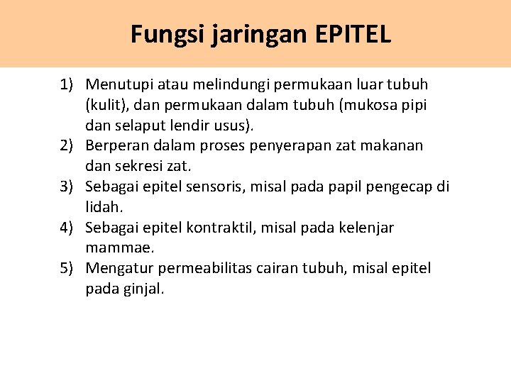 Fungsi jaringan EPITEL 1) Menutupi atau melindungi permukaan luar tubuh (kulit), dan permukaan dalam