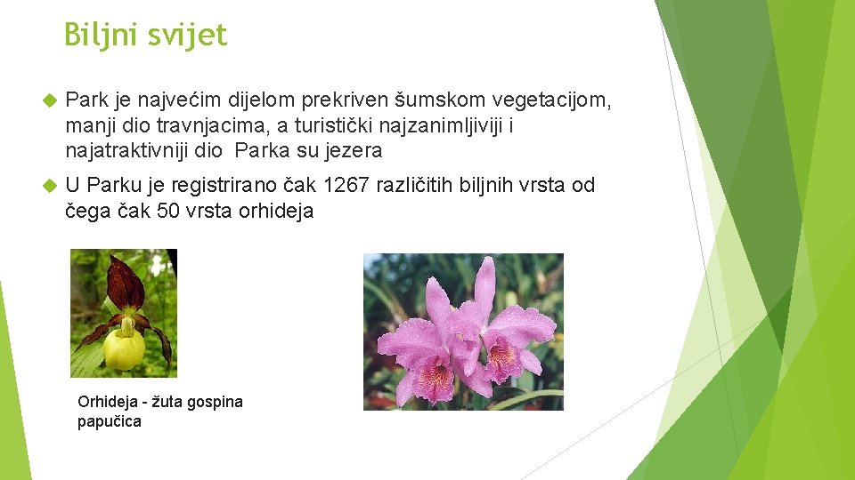 Biljni svijet Park je najvećim dijelom prekriven šumskom vegetacijom, manji dio travnjacima, a turistički