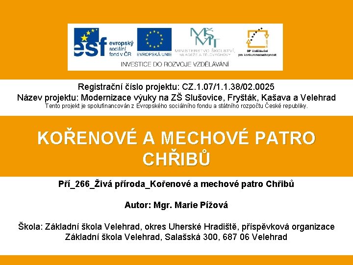 Registrační číslo projektu: CZ. 1. 07/1. 1. 38/02. 0025 Název projektu: Modernizace výuky na