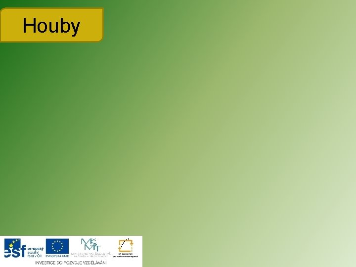 Houby 