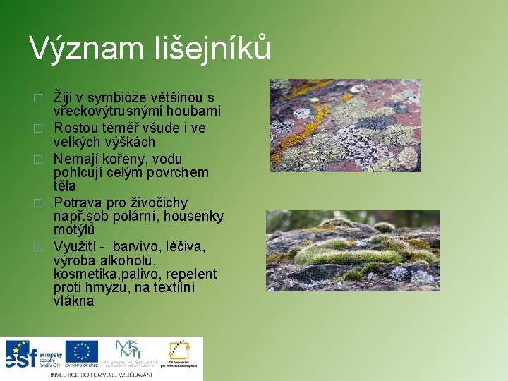Význam lišejníků � � � Žijí v symbióze většinou s vřeckovýtrusnými houbami Rostou téměř