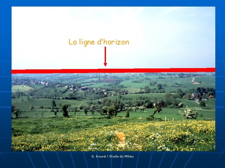 La ligne d’horizon G. Bouvé / Etude du Milieu 
