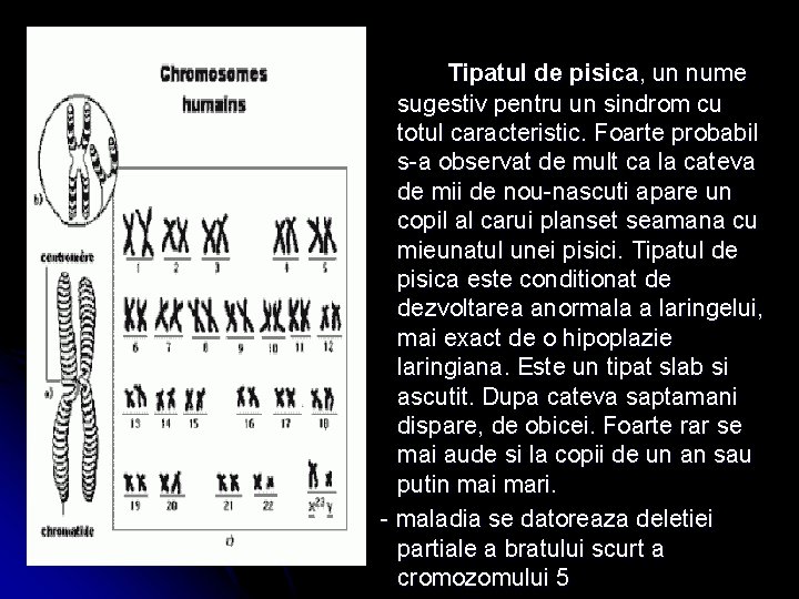Tipatul de pisica, un nume sugestiv pentru un sindrom cu totul caracteristic. Foarte probabil