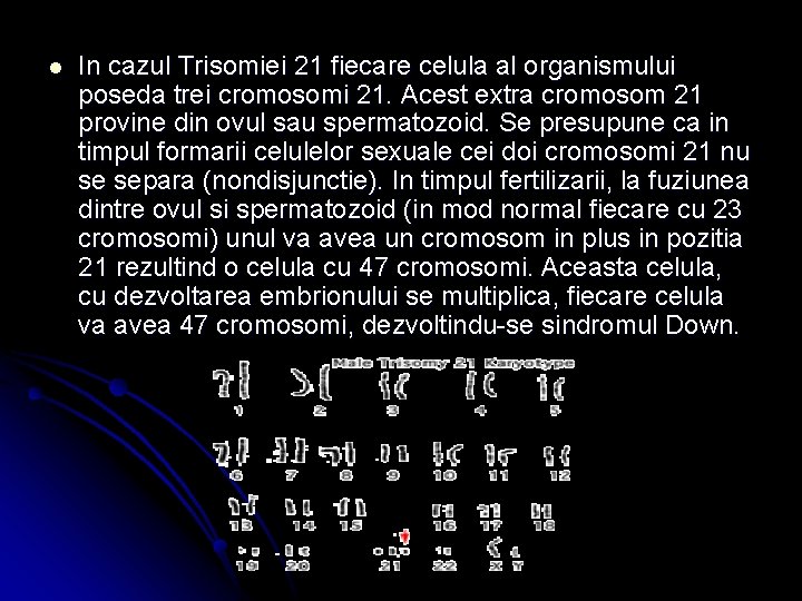 l In cazul Trisomiei 21 fiecare celula al organismului poseda trei cromosomi 21. Acest
