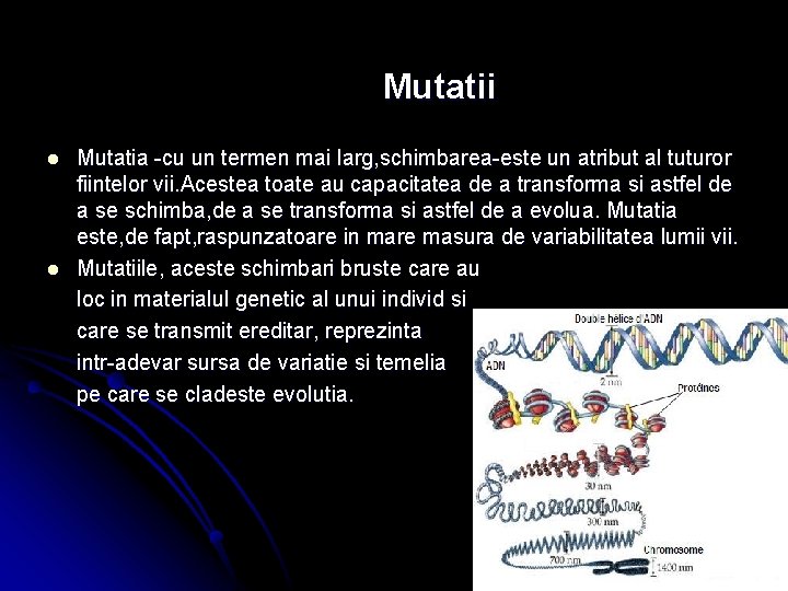 Mutatii l l Mutatia -cu un termen mai larg, schimbarea-este un atribut al tuturor