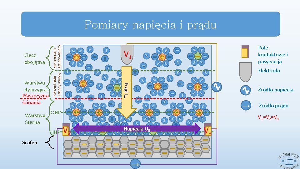 Warstwa Sterna Elektroda Prąd I┴ Warstwa dyfuzyjna Płaszczyzna ścinania Pole kontaktowe i pasywacja V
