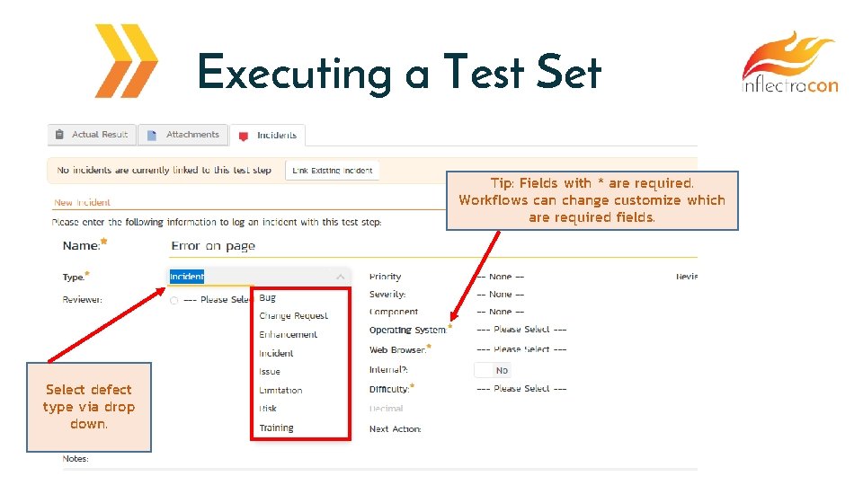 Executing a Test Set Tip: Fields with * are required. Workflows can change customize