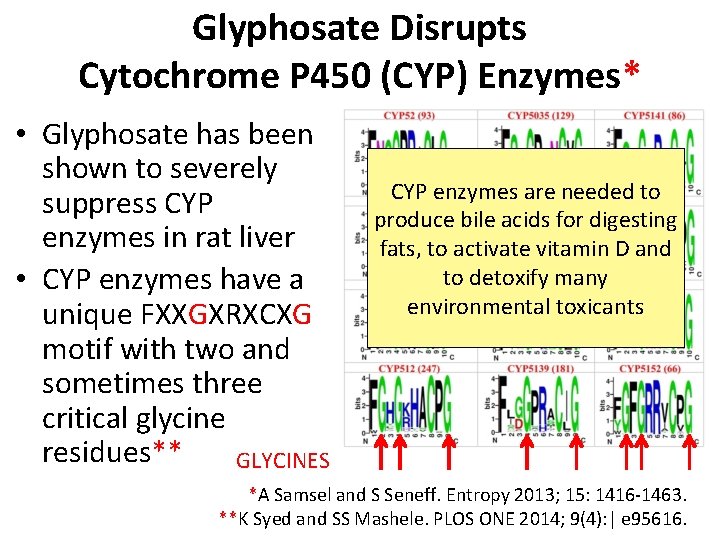 Glyphosate Disrupts Cytochrome P 450 (CYP) Enzymes* • Glyphosate has been shown to severely