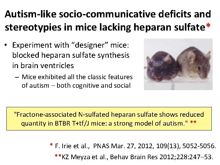 Autism-like socio-communicative deficits and stereotypies in mice lacking heparan sulfate* • Experiment with “designer”