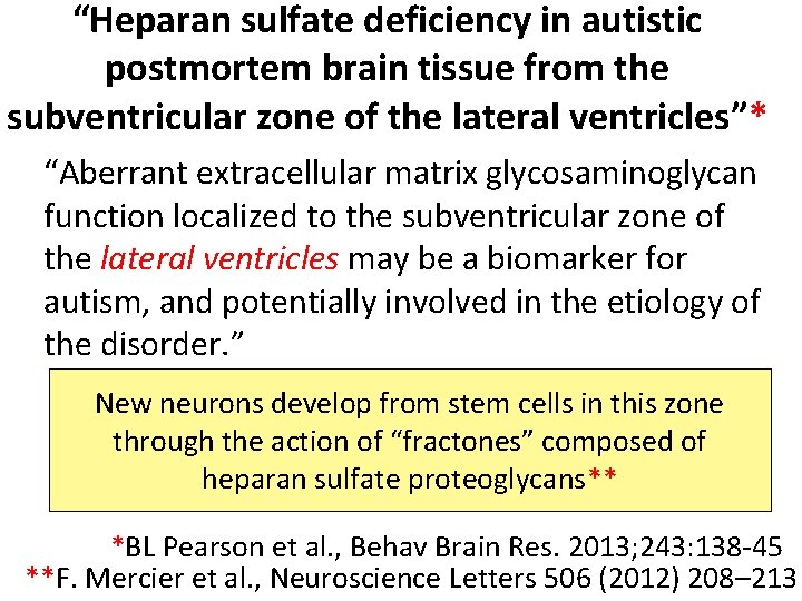 “Heparan sulfate deficiency in autistic postmortem brain tissue from the subventricular zone of the