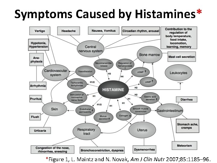 Symptoms Caused by Histamines* *Figure 1, L. Maintz and N. Novak, Am J Clin