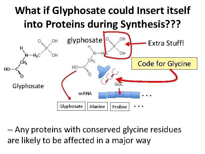 What if Glyphosate could Insert itself into Proteins during Synthesis? ? ? glyphosate Extra