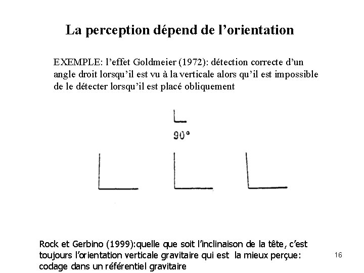 La perception dépend de l’orientation EXEMPLE: l’effet Goldmeier (1972): détection correcte d’un angle droit