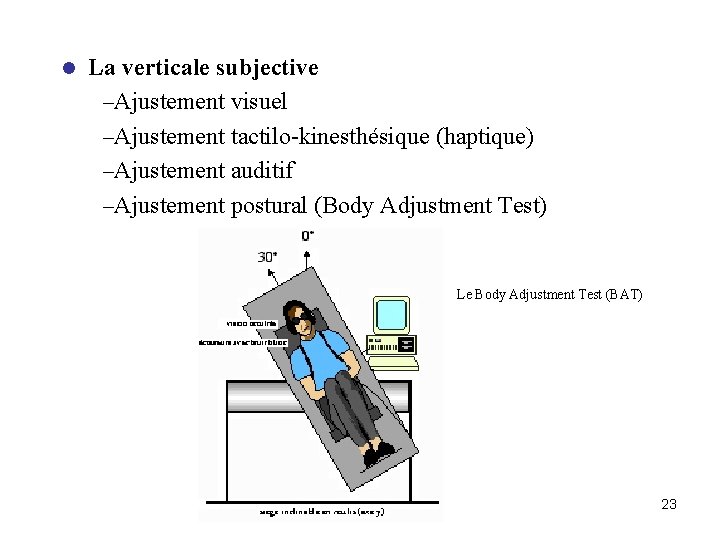 l La verticale subjective –Ajustement visuel –Ajustement tactilo-kinesthésique (haptique) –Ajustement auditif –Ajustement postural (Body