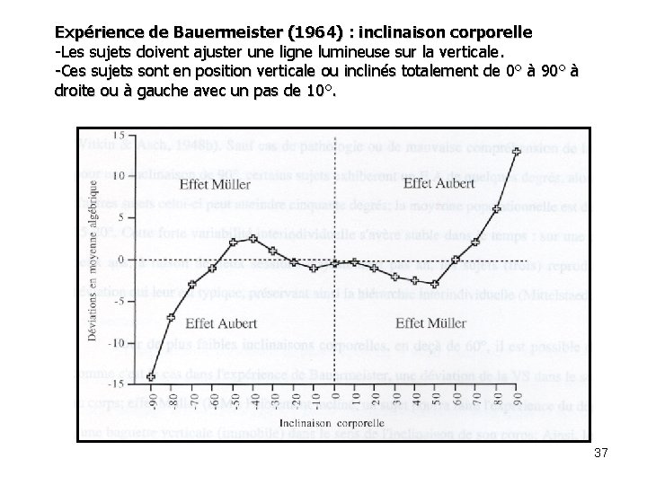 Expérience de Bauermeister (1964) : inclinaison corporelle -Les sujets doivent ajuster une ligne lumineuse