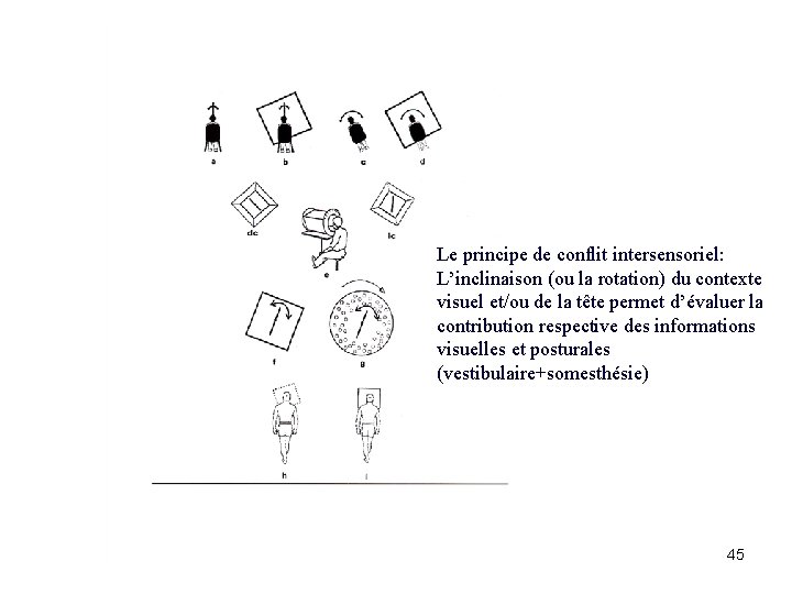 Le principe de conflit intersensoriel: L’inclinaison (ou la rotation) du contexte visuel et/ou de