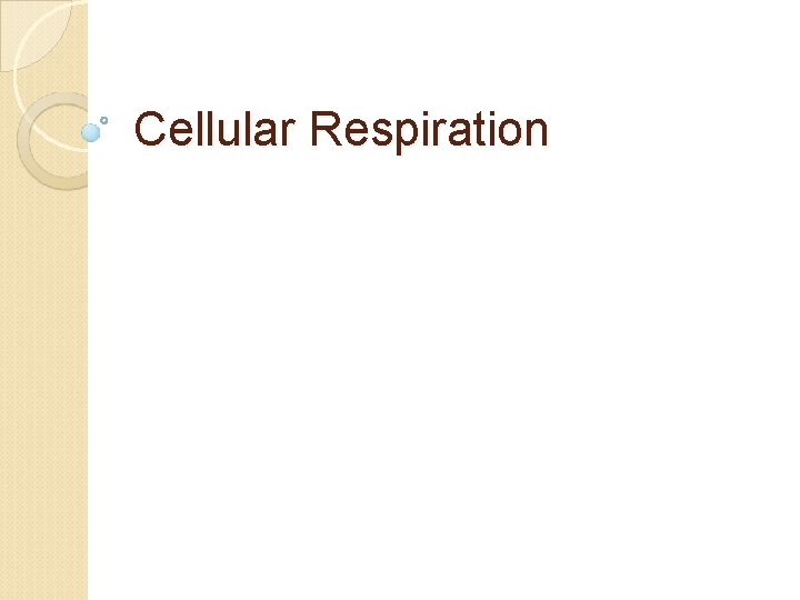 Cellular Respiration 
